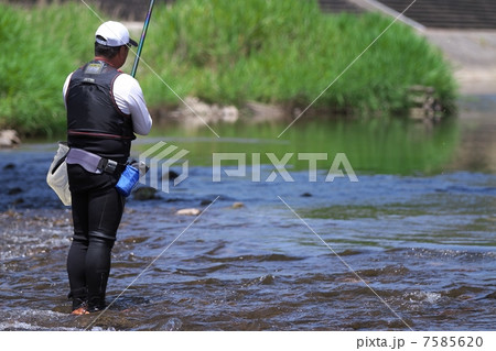 鮎の友釣り 鮎の友釣り 7585620