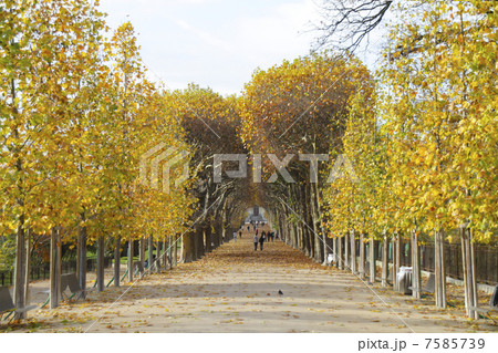 パリ植物園 le Jardin des Plantes de Paris パリ植物園 le Jardin des Plantes de Paris 7585739