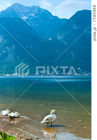Alpine summer lake view Alpine summer lake view 7585868