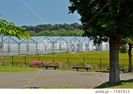 多々良沼散歩・屋根型硬質フィルム温室 多々良沼農村公園 多々良沼散歩・屋根型硬質フィルム温室 多々良沼農村公園 7585913