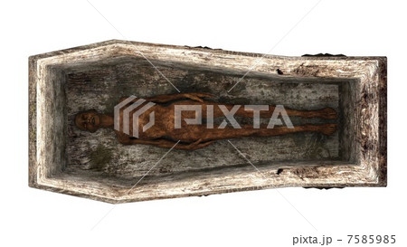 ミイラ ミイラ 7585985