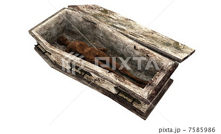 ミイラ ミイラ 7585986