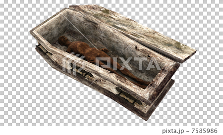 ミイラ ミイラ 7585986