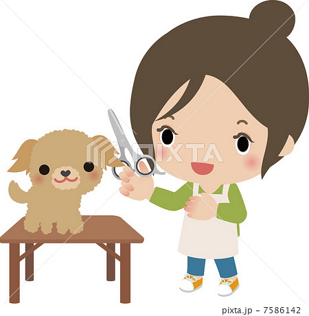 トリマーの女性と小型犬のイラスト素材 7586142 Pixta