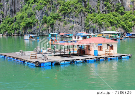 ハロン湾の水上家屋 7586329