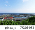 城ヶ島　磯遊び風景 7586463