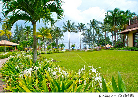 南国のリゾートホテル(ビンタン島/インドネシア) 南国のリゾートホテル(ビンタン島/インドネシア) 7586499