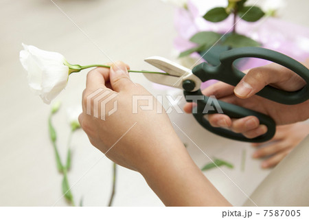 フラワーアレンジメント 7587005