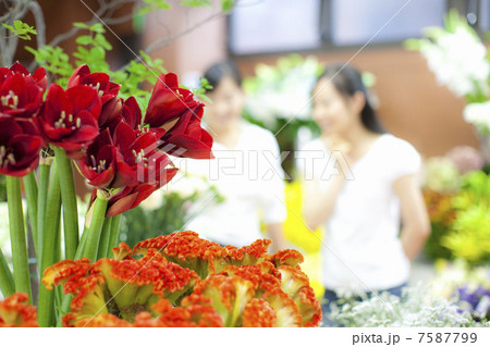 花屋の店員の女性とお客さん 7587799
