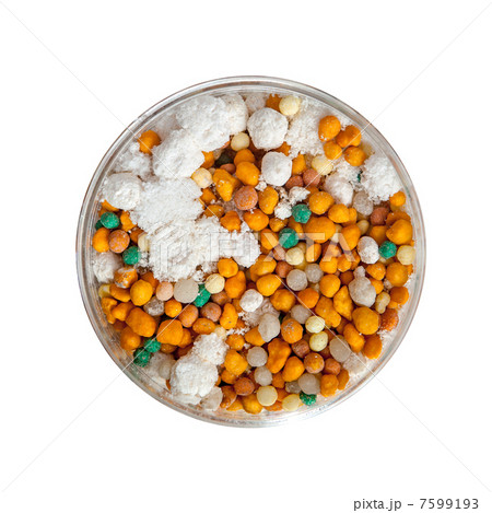 Fertilizer granules in petri dish 7599193
