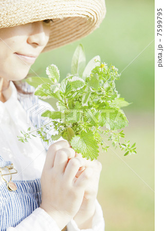 ガーデニング 7599795