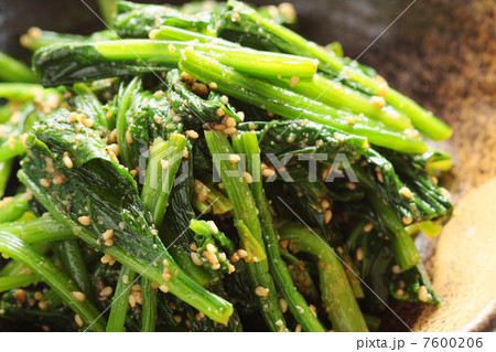 ほうれんそうの胡麻和えのアップ 7600206
