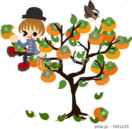 柿の木に登り 柿を食べる少年 のイラスト素材