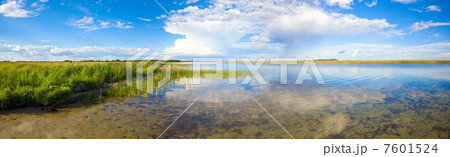 Summer lake panorama. 7601524