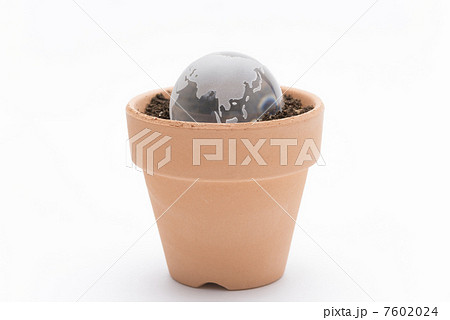 エコイメージ（地球の種） 7602024
