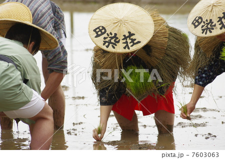 世界農業遺産　大分　国東半島　荘園が残る農村景観で行われる御田植祭の様子 7603063