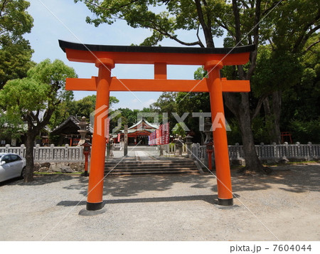 豊中稲荷神社の鳥居 豊中稲荷神社の鳥居 7604044