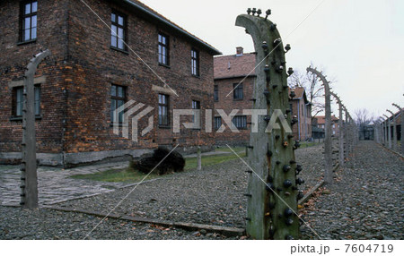 アウシュビッツ アウシュビッツ 7604719