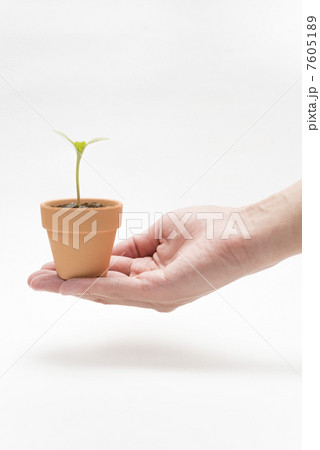 エコ・成長イメージ 7605189