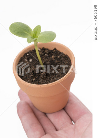 エコ・成長イメージ 7605199