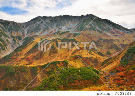 立山室堂の紅葉 立山室堂の紅葉 7605238