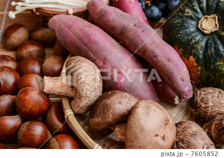さつまいもと椎茸や栗 7605852
