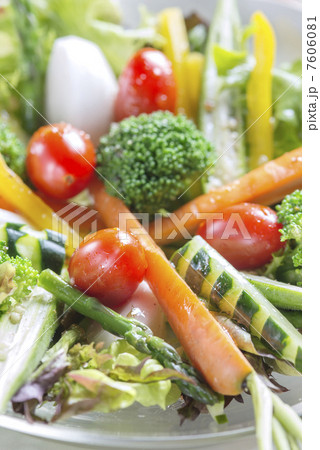 サラダ 7606081