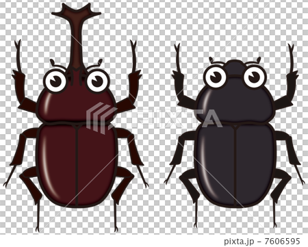 Beetle Beetle 7606595