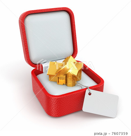 Gift box with house. Real estate concept. Gift box with house. Real estate concept. 7607359