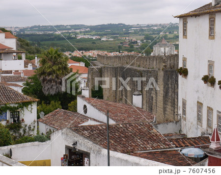 オビドス 7607456