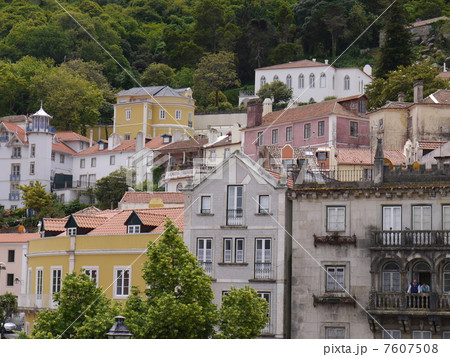 シントラ 7607508