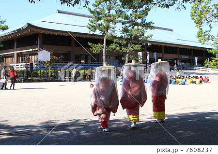 おもてなし隊 おもてなし隊 7608237