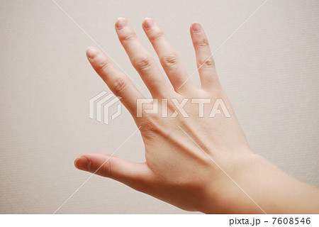 手 7608546
