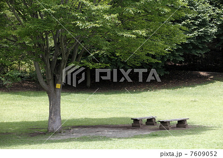 公園のベンチ 7609052
