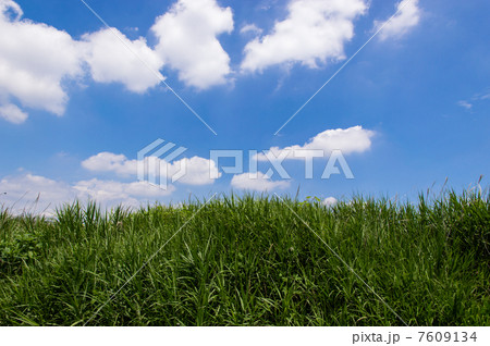 夏イメージ 7609134