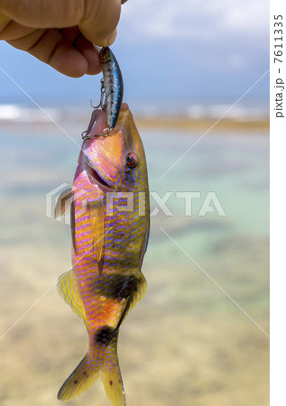 釣りあげたオジサン 7611335