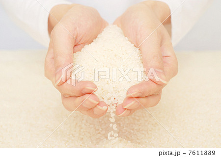 お米 7611889