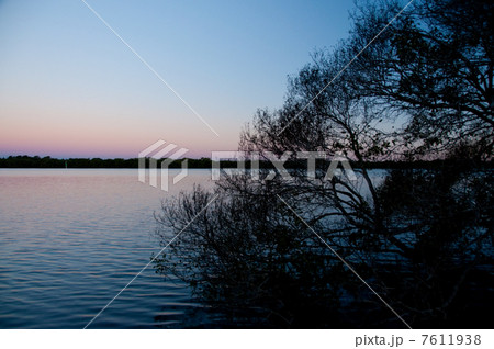 トワイライト 7611938