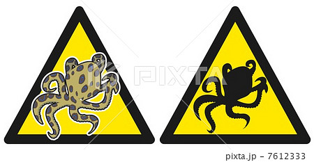 ヒョウモンダコ危険マーク(生物) ヒョウモンダコ危険マーク(生物) 7612333