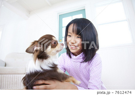 チワワを抱く笑顔の女の子 7612474