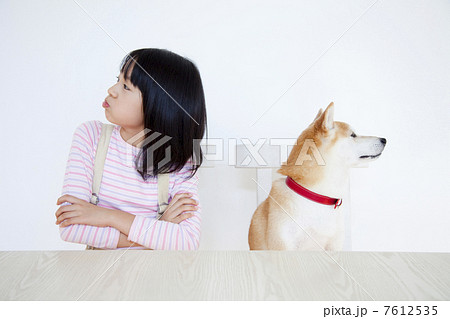けんかをする柴犬と女の子 7612535