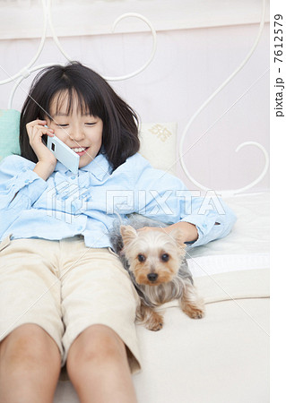 ヨークシャーテリアを抱き寄せ携帯電話で話す女の子 7612579