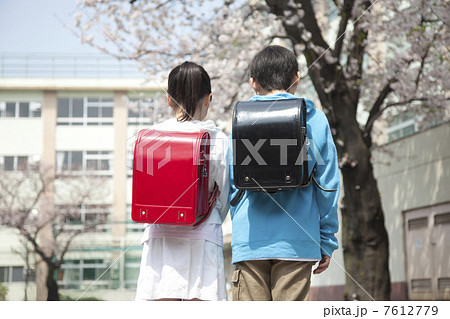 桜の下に立つ小学生男女の後ろ姿 7612779
