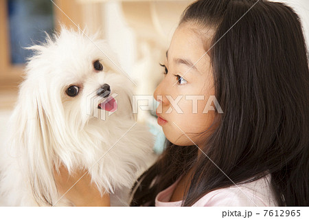 チワマルを見つめる笑顔の女の子 チワマルを見つめる笑顔の女の子 7612965