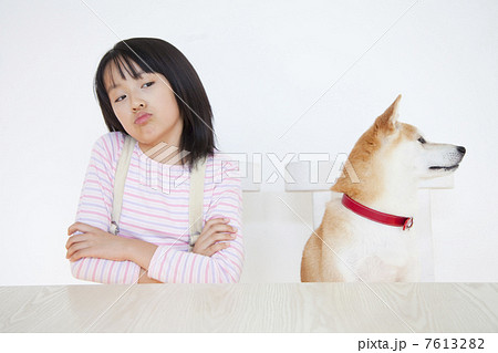 けんかをする柴犬と女の子 7613282