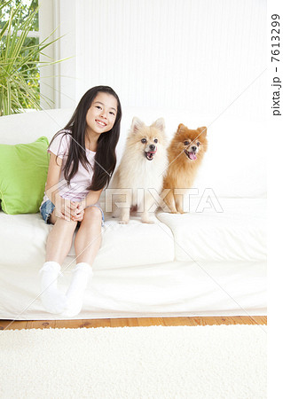 2匹のポメラニアンと笑顔の女の子 2匹のポメラニアンと笑顔の女の子 7613299