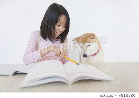勉強をする女の子と見守る柴犬 7613530