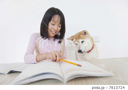 勉強をする女の子と見守る柴犬 7613724