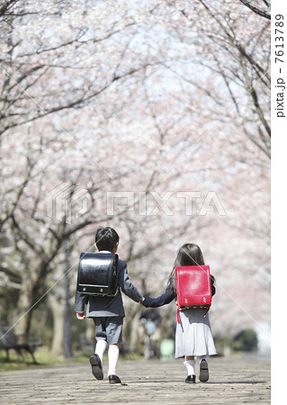 桜並木を歩く小学生男女の後姿 桜並木を歩く小学生男女の後姿 7613789