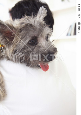 犬を抱えている男性の背中 7613833